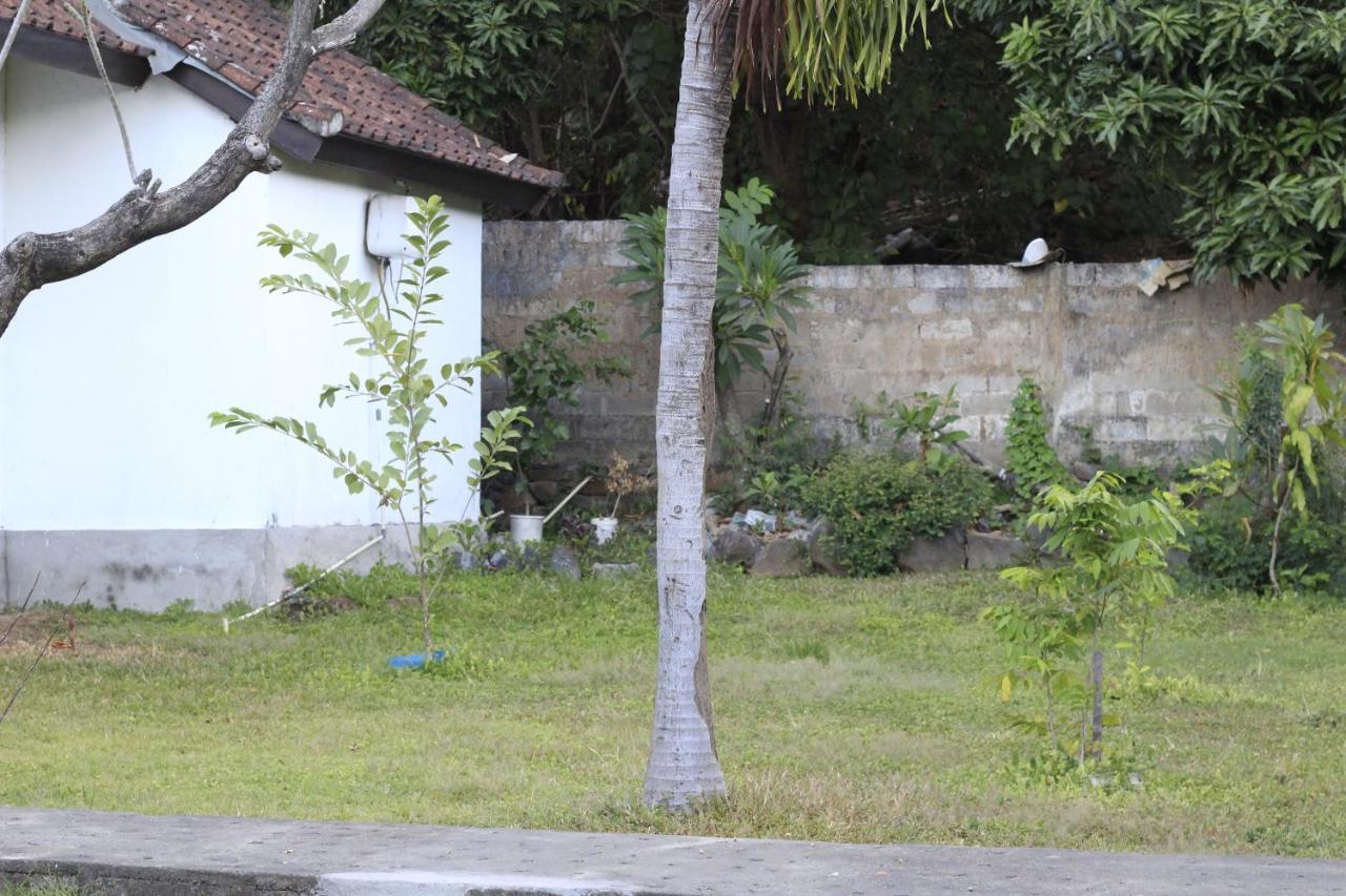 Coconut Beach Bungalows & Warung 2 Amed Exteriör bild